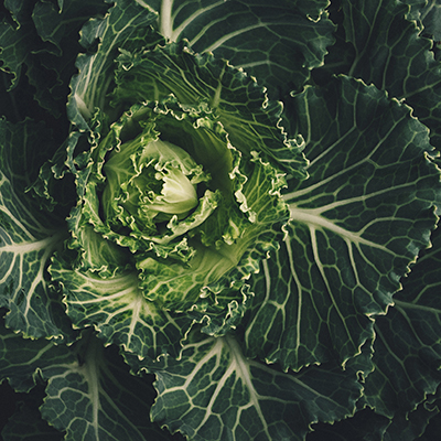 UK Fresh Food Rationing: The Tip Of The Iceberg (Lettuce)?