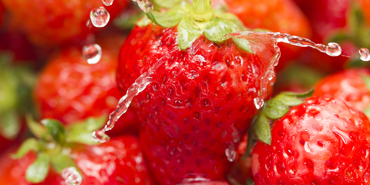 Fresh Food, Fresh Ideas