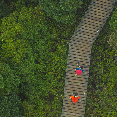 Chinese Travelers Favor Domestic Destinations